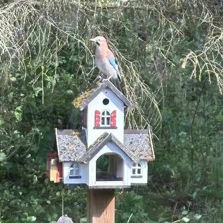 Summer House Fauna Hou 300 M From The Sea Nyaraló