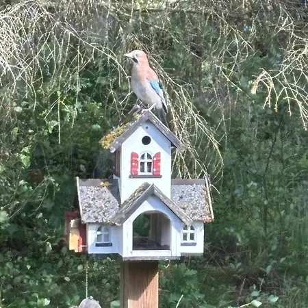 Summer House Fauna Hou 300 M From The Sea